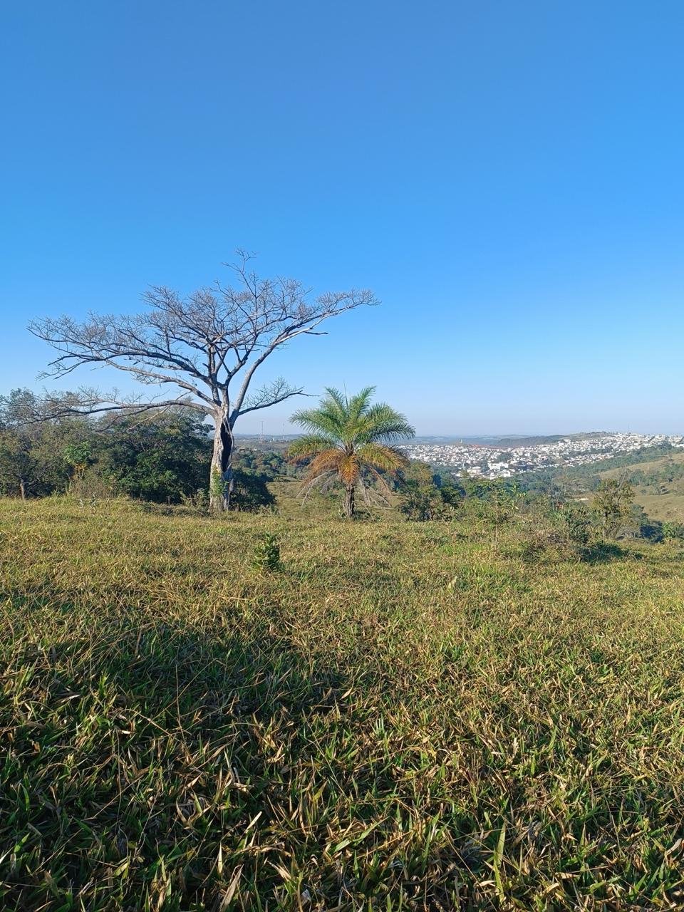 Vista do morro com a cidade ao fundo